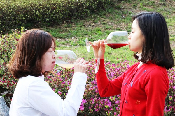 ▲ 영동군이 자체 개발한 복숭아 자두와인을 시음하고 있다.ⓒ영동군