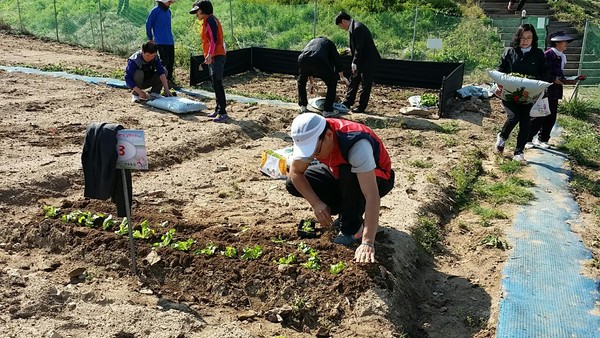 ▲ 대전농업기술센터는 19일 행복농장 개장했다.ⓒ대전시