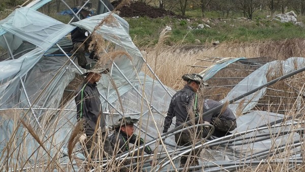 ▲ 영동소재 군장병들이 20일 매곡면 강진리의 강풍으로 인한 피해농가를 찾아 복구작업을 하고 있다.ⓒ영동군