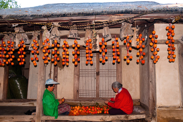 ▲ 2015년 영동관광 사진 공모전에서 대상을 차지한 이숙희 작가의 ‘어머니의 곶감 이야기’.ⓒ영동군