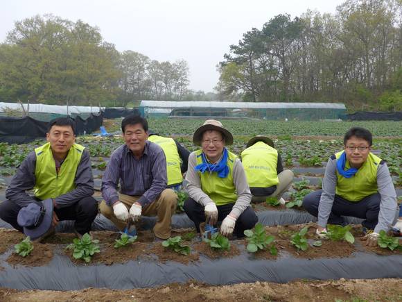 ▲ 지난 23일 NH농협금융지주 오병관 부사장(왼쪽에서 3번째)과 경영기획본부 소속 임직원들이 농촌일손돕기에 구슬땀을 흘리고 있다.ⓒNH농협금융지주