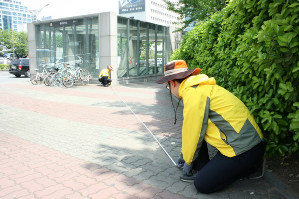 ▲ 서울시 관계자들이 금연구역 지정을 위해 금연구역 경계를 측정하고 있는 모습  ⓒ서울시