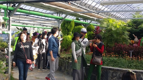 ▲ 괴산군야생화연구회가 지난해 가졌던 작품전시회 모습.ⓒ괴산군