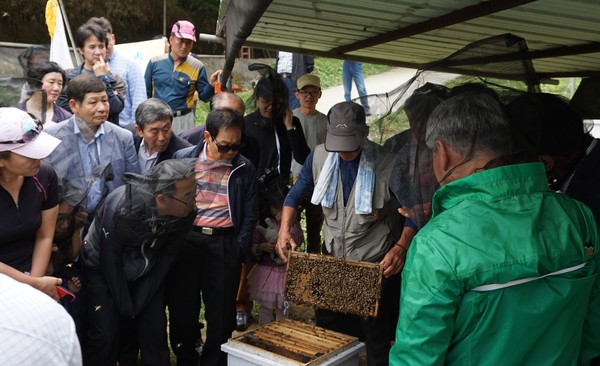 ▲ 세종시는 30일 체험 양봉장을 개소한 뒤 7월까지 운영키로 했다.ⓒ세종시