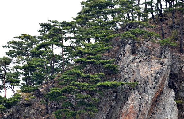 ▲ 괴산군의 ‘성불산 불상을 찾아라’ 사진공모전에서 금상을 차지한 ‘성불사 옛 절터를 바라보고 있는 부처님 모습’ 작품.ⓒ진천군