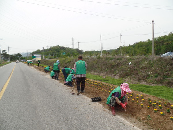▲ 김천시 농소면 새마을협의회는 지난 달 28일 관내 연도변에 꽃길을 조성했다.ⓒ김천시 제공