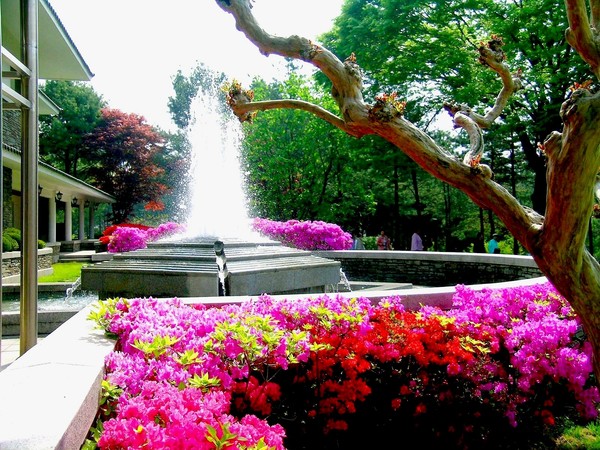 ▲ 청남대의 봄 전경.ⓒ청남대관리사무소