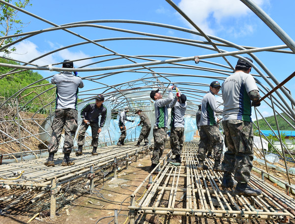 ▲ 제5탄약창 장병들이 제천시 덕산면에서 파손된 비닐하우스 철거작업을 벌이고 있다.ⓒ제천시