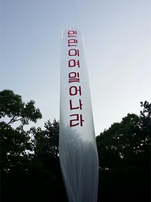 ▲ 북한인권단체 '자유북한운동연합(대표 박상학)'은 12일 오전, 경기 김포시 인근에서 대북전단 30만 장을 북한으로 날려 보냈다. ⓒ자유북한운동연합 제공