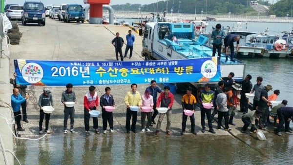 ▲ 충남도 수산연구소가 16일 대하 종묘를 서해연안에 방류하고 있다.ⓒ충남도
