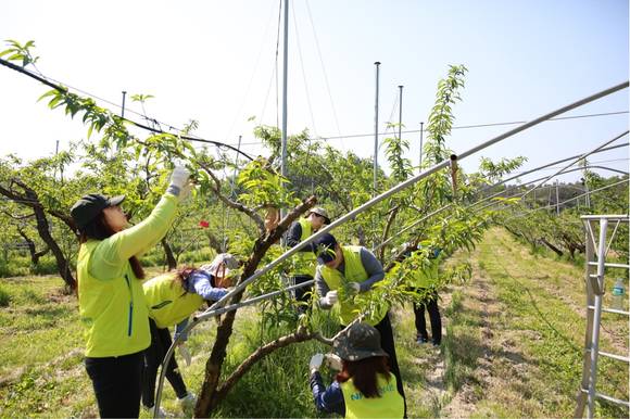 ▲ ⓒNH농협생명