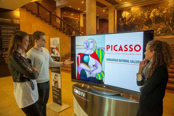 ▲ 헝가리 국립 미술관에서 열리는 '피카소展'에 설치된 LG 올레드 TV 모습. ⓒLG전자