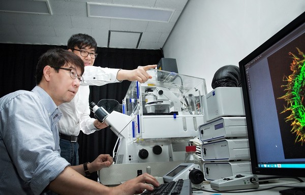 ▲ 민경태 교수(사진 왼쪽)와 제1저자인 웨이 왕(Wei Wang) 연구원이 뇌 신경세포를 관찰하고 있는 모습. ⓒUNIST 제공