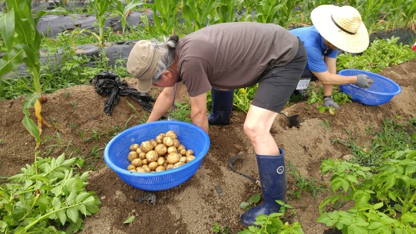 ▲ 영동군과 군 귀농협의회가 26~28일까지 ‘2016년 제1회 시골살이 체험행사’를 연다.ⓒ영동군