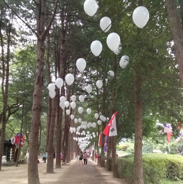 ▲ 남이섬 숲길에 걸어놓은 풍선들(남이섬서 촬영)