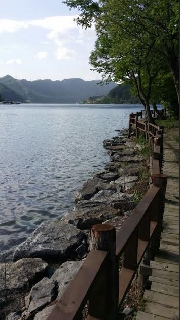 ▲ 남이섬 강변 오솔길.(남이섬서 촬영)