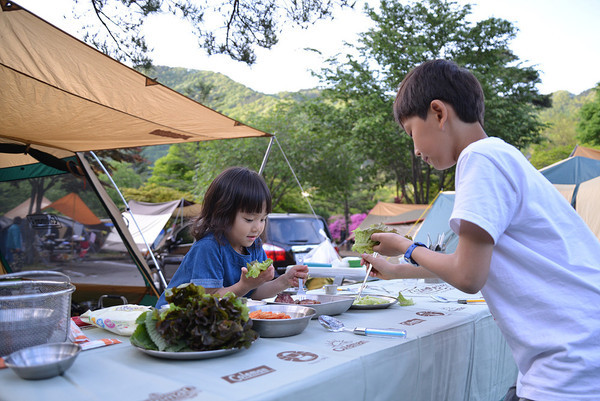 ▲ 2015년 단양오토캠핑장을 찾은 어린이들 모습. ⓒ단양군 ⓒ