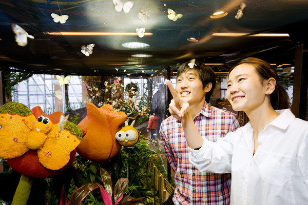 ▲ 2013년 서울 능동 어린이대공원 2층에 나비관 개최 당시의 모습. 이번 서울숲 나비 체험전에서는 더 많은 종류를 만나볼 수 있을 것으로 기대된다. ⓒ서울시