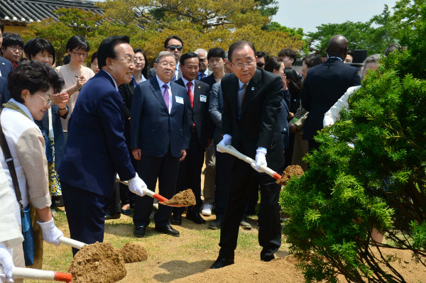 ▲ 29일 경북 안동을 찾은 반기문 유엔사무총장이 김관용 경북도지사와 함께 하회마을 서애 류성룡 선생 고택 경내에 나무 중의 제왕이라는 주목을 기념식수하고 있다. ⓒ뉴시스 사진DB