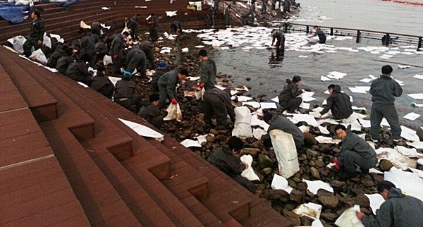 ▲ 2015년 7월 26일 여수박람회장 앞에서 기름이 유출돼 여수 시청 공무원과 관계기관 직원들이 흡착포를 이용해 방제 작업을 했다. ⓒ여수시청