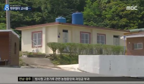 ▲ 지난 2일 '목포 MBC'가 보도한 신안군 섬마을 초등학교 여교사 A씨 집단 성폭행 사건 보도. ⓒ목포 MBC 보도 화면캡쳐