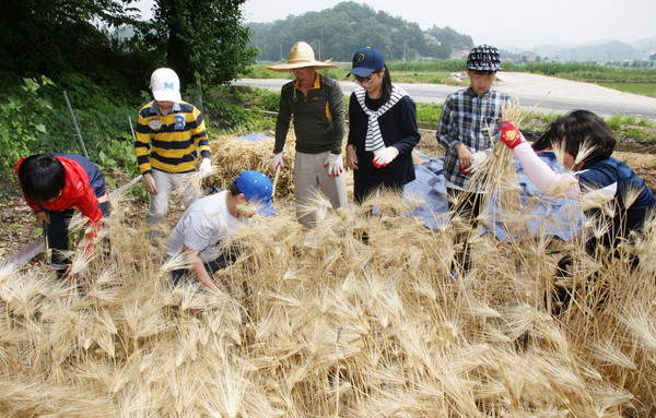 ▲ 충북도교육청 간부공무원들이 9일 행복씨앗학교를 운영중인 동화초등학교를 탐방하고 있다.ⓒ충북도교육청