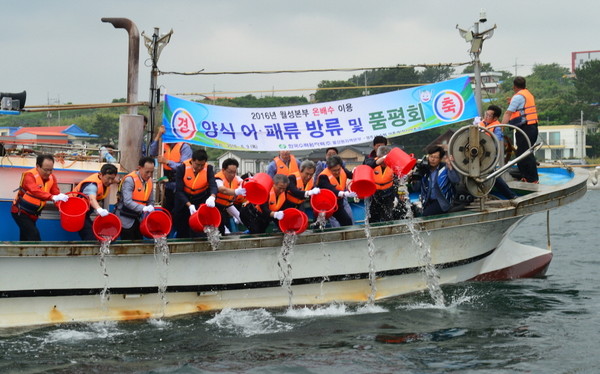 ▲ 월성원자력본부 관계자들이 9일 오전 경주시 감포읍에서 양식으로 키운 양식 어패류 25만미를 방류하고 있다.ⓒ월성원전 제공