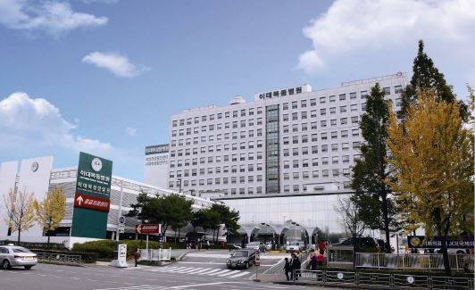 ▲ 이대목동병원 교수들이 분주한 6월을 보내고 있다. 사진 왼쪽부터 최경규 교수, 신기남 교수, 김영주 교수, 김승정 교수. / 사진= 이대목동병원 제공ⓒ