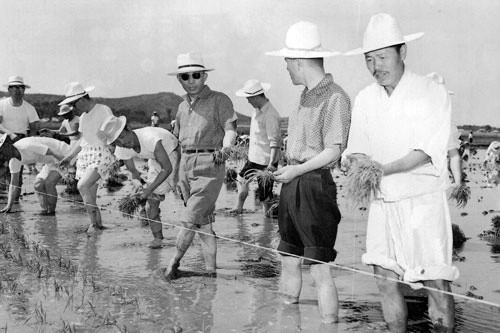 ▲ 1962년 6월 3일, 경기도 김포 지역 모내기에 나선 박정희 전 대통령(가운데, 선글라스 착용) 사진. ⓒ연합뉴스