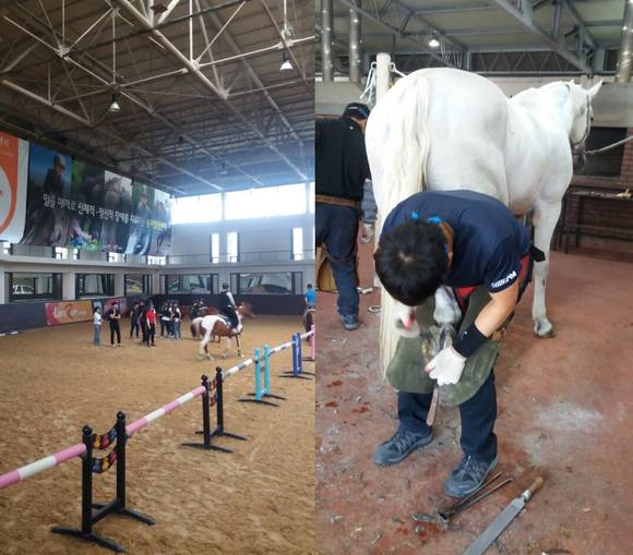 ▲ 마사회 재활승마 교육모습ⓒ뉴데일리