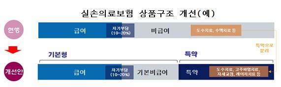 ▲ ⓒ보험연구원