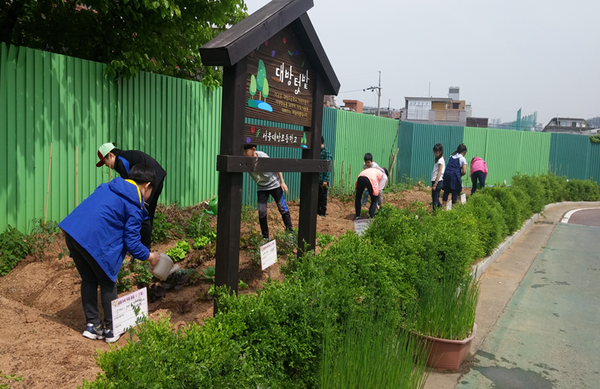 서울남부교육지청 산하 대방초등학교는 2017년 2월까지 학교 안 여유부지 약 40 제곱미터(㎡)를 마련해 '주말농장(텃밭)'을 운영한다. ⓒ 서울교육청