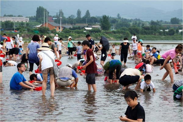 ▲ 지난해 있은 둔율올갱이 잡이 체험 모습.ⓒ괴산군