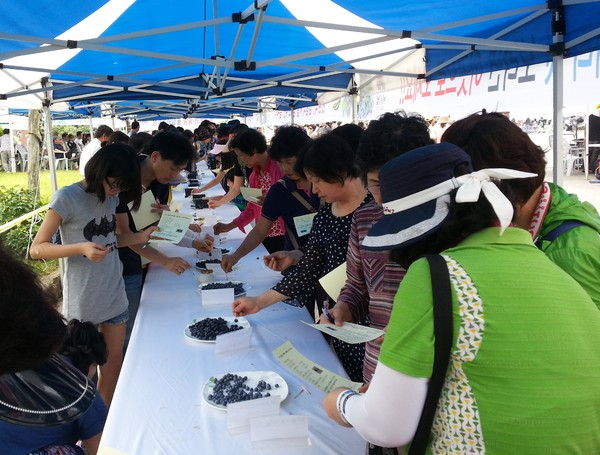 ▲ 지난해 영동 블루베리 품평회 무료시식 장면.ⓒ영동군