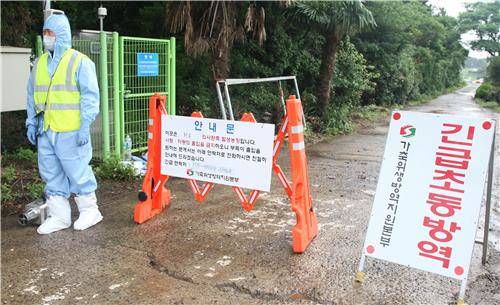 ▲ 돼지열병 농장 긴급방역.ⓒ연합뉴스