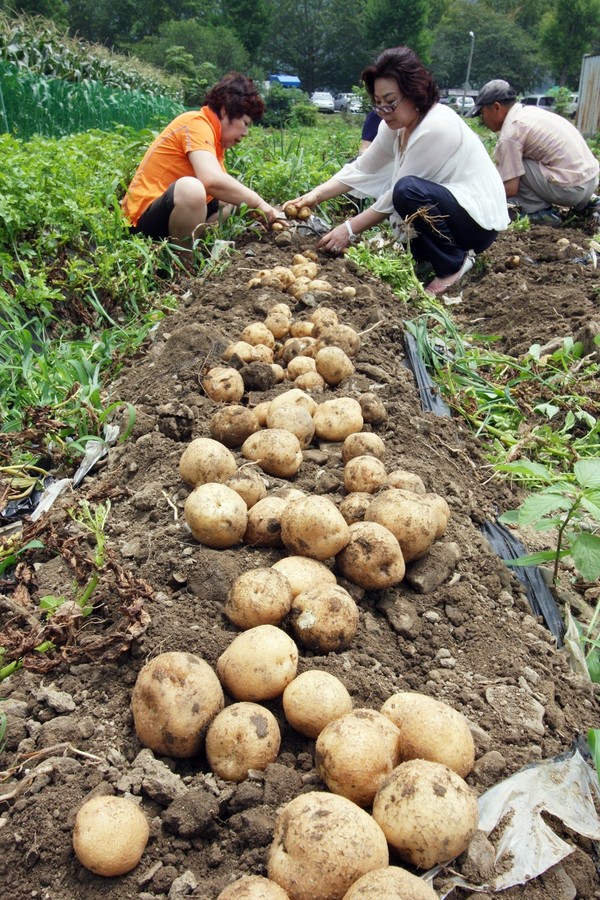 ▲ 지난해 축제때 모습.ⓒ옥천군