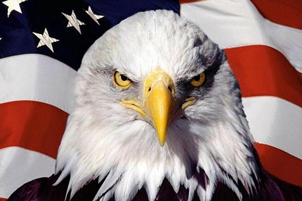 ▲ 네티즌들 사이에서 '천조국 독소리'라는 별명으로 유명한 '성조기와 흰꼬리수리'의 사진. 美정부는 안보부처들을 총동원해 대북제재에 나서겠다는 뜻을 유엔에 밝혔다고 한다. ⓒ해외 바탕화면 사이트 캡쳐