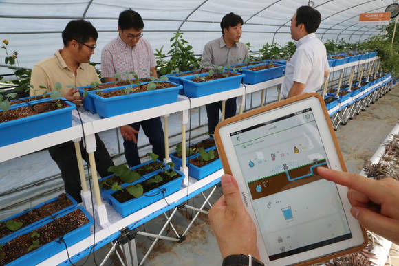 ▲ 22일 세종창조경제혁신센터 출범 1주년 기념식을 개최하고 있다.ⓒSK그룹