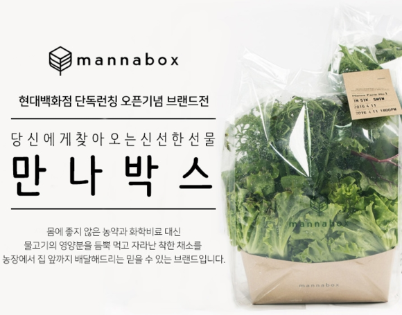 ▲ 현대백화점 고급 온라인몰 더현대닷컴에서 프리미엄 채소 브랜드 '만나박스'를 판매한다. ⓒ현대백화점