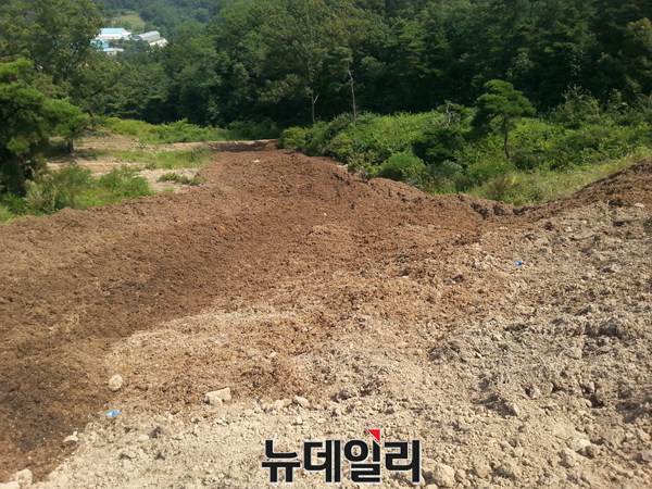 ▲ 축사 근처 계곡쪽에도 음식 폐기물로 만든 퇴비 수백톤이 야적돼 있다.ⓒ독자제보