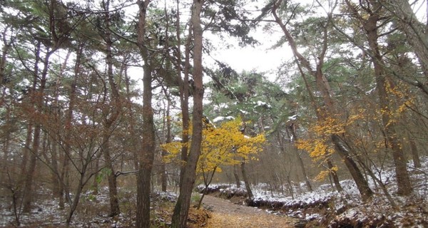 ▲ 서태사 절이 있는 서산시 팔봉면 팔봉산 입구.ⓒ서산시