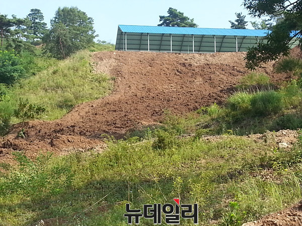 ▲ 충북 청주시 오창읍의 한 마을 야산 축사 근처에 음식 폐기물로 만든 퇴비 수백톤이 야적돼 있다.ⓒ독자제보