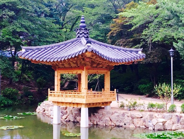 ▲ 애련정의 한국미에 심취한 필자 이배용 한국학중앙연구원장이 똑같은 정자를 연구원 구내에 건축하여 '학의정'이라 이름하였다.