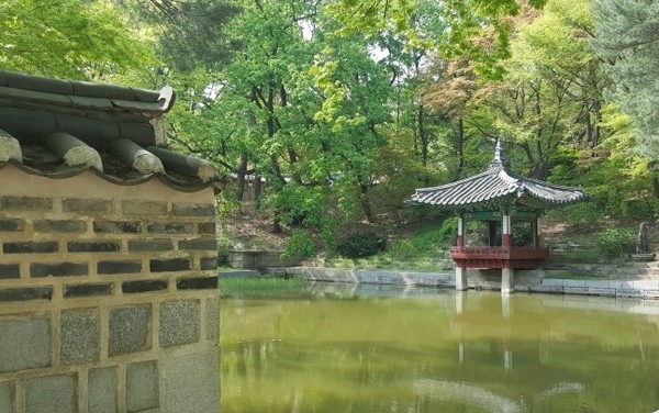 세계문화유산 창덕궁 후원(비원)의 연못 애련지의 정자 애련정(자료사진)