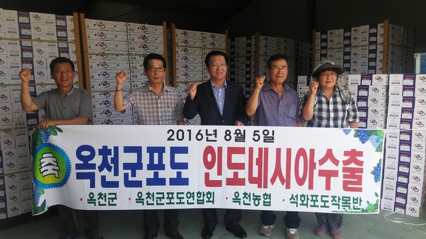 ▲ 충북 옥천포도가 지난 5일 인도네시아 수출길에 올랐다.ⓒ옥천군