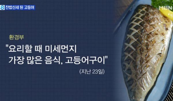 ▲ 지난 5월 23일 환경부는 "고등어 구이를 요리할 때 실내 미세먼지가 많이 발생한다"는 주장을 펴 전국민의 조롱을 받았다. ⓒM