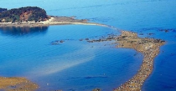 ▲ 무창포 ‘신비의 바닷길’ 모습.ⓒ김동식