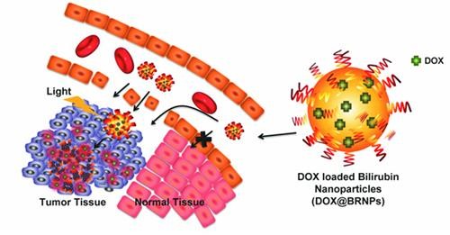 ▲ 인간 폐암 동물 모델에서 약물이 선적된 빌리루빈 나노입자가 실제 작용하는 모식도.ⓒ카이스트
