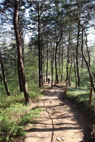 ▲ 향적산 등산로.ⓒ계룡시