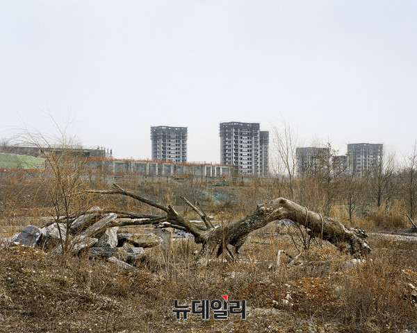 ▲ CD022-06, 100x125cm, Pigment Ink on Premium Luster, 2016 ⓒ 최창재